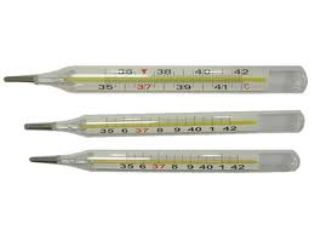 Thermometer Clinical