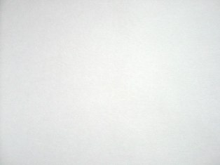 White Screen Plain